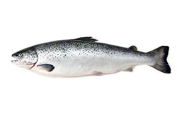 Salmón Fresco 500g