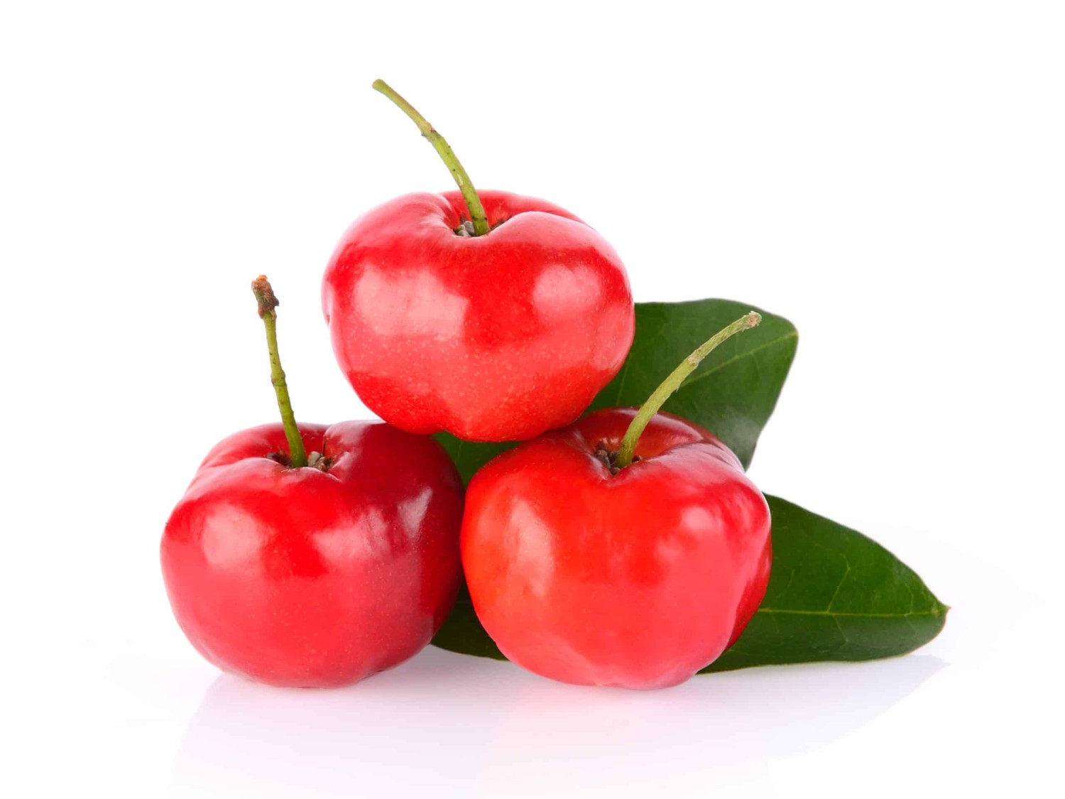 Acerola