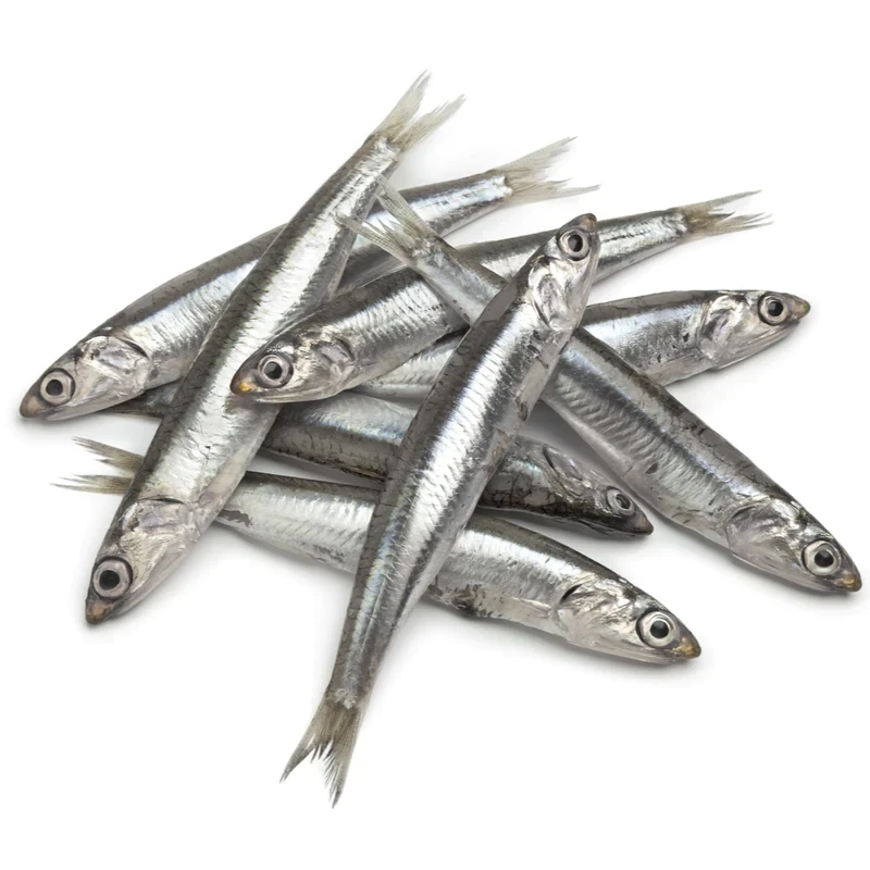 Anchoa
